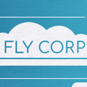 Fly Corp Steam CD Key