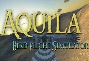 Aquila Bird Flight Simulator Steam CD Key