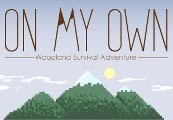 On My Own Steam CD Key