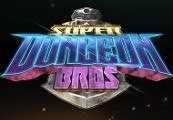 Super Dungeon Bros Steam CD Key
