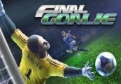 Final Goalie: Football Simulator Steam CD Key