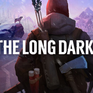 The Long Dark Steam CD Key