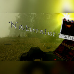 Naturalist Stories Steam CD Key