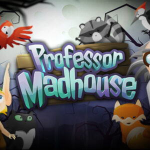 Professor Madhouse Steam CD Key