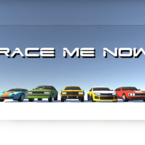 Race me now Steam CD Key