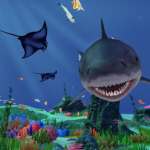 Fancy Fishing VR Steam CD Key