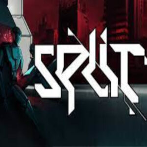 Split Steam CD Key