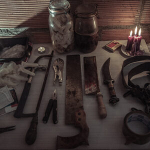 The Fan Steam CD Key