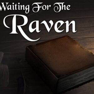 Waiting For The Raven Steam CD Key
