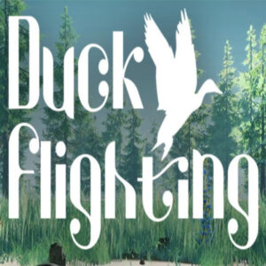 Duck Flight Simulator 2021 Steam CD Key