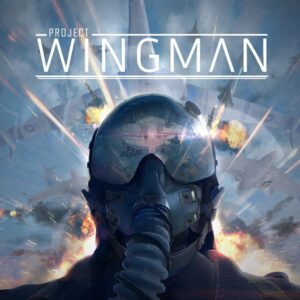Project Wingman Steam Account
