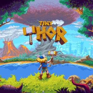 Tiny Thor PC Steam Account