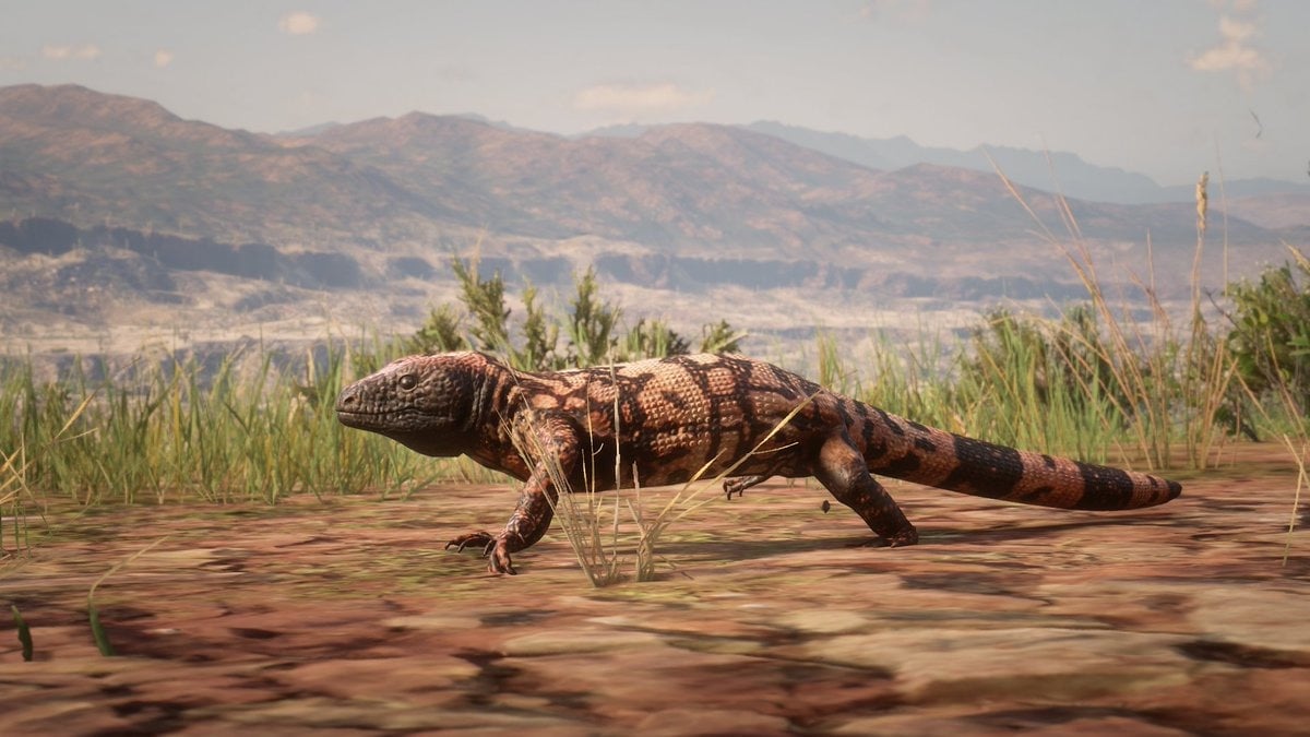 TuniGamers – Monstre de Gila Red Dead Redemption : Où chasser cette bête ?