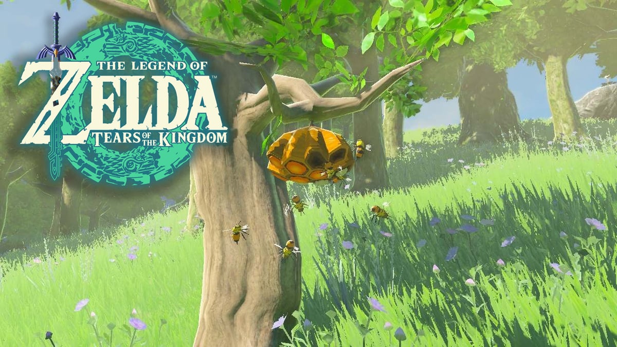 TuniGamers – Rayon de miel enduro Zelda ToTK : Où en trouver pour contenter la Grande Fée Cotura ?