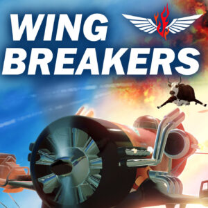 Wing Breakers Steam CD Key