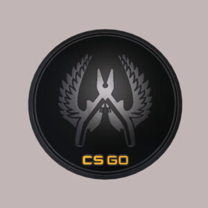 CS:GO - Series 1 - Guardian Elite Collectible Pin