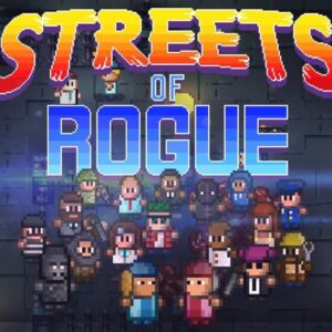 Streets of Rogue PC Steam Account