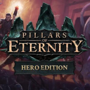 Pillars of Eternity Hero Edition PC Steam Account