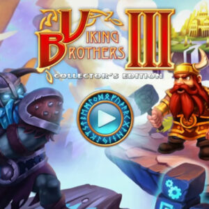 Viking Brothers 3 Collector's Edition Steam CD Key