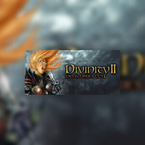 Divinity II: Developer's Cut GOG CD Key