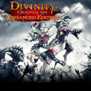 Divinity: Original Sin Enhanced Edition Collector's Edition GOG CD Key