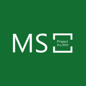 MS Project Professional 2019 CD Key