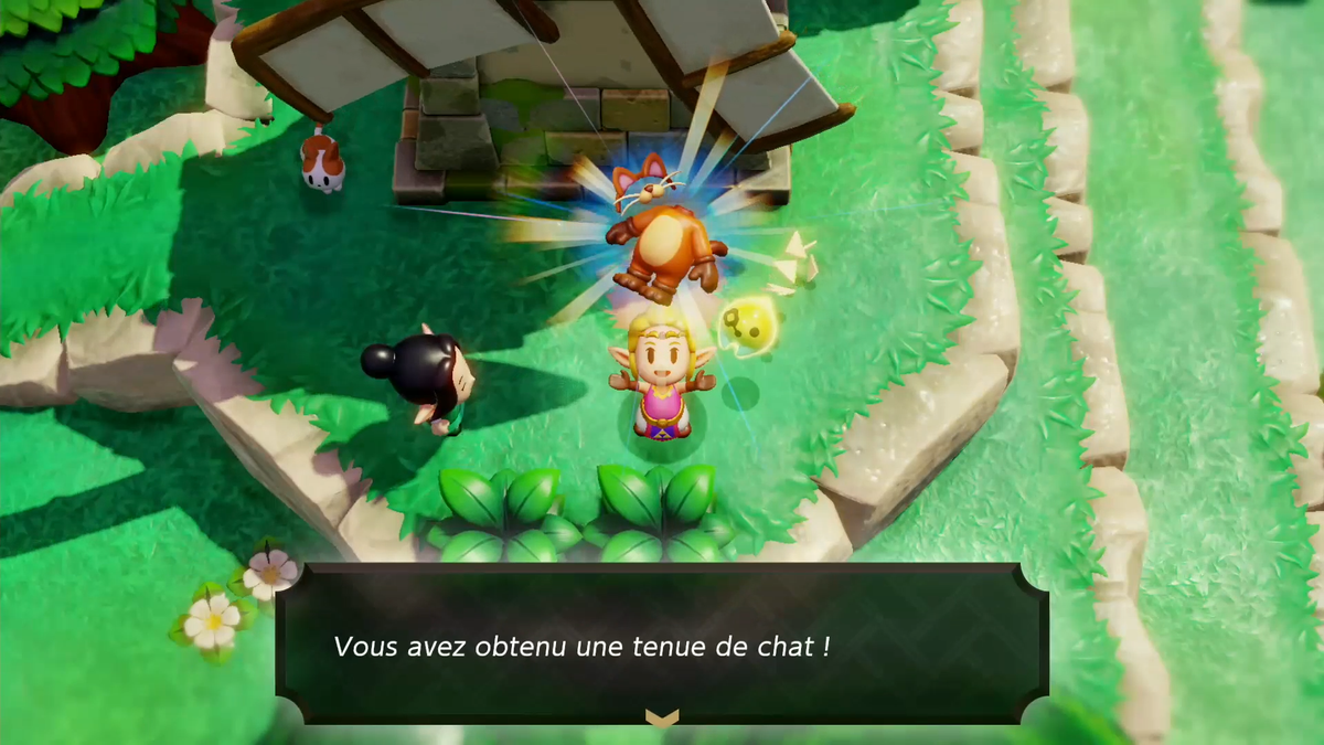 TuniGamers – Questions de chats Zelda Echoes of the Wisdom : Où trouver le chat du vieillard au Village Cocorico et comment terminer la quête ?