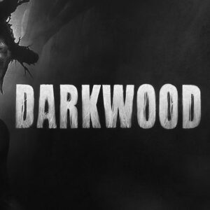 Darkwood EU Steam Altergift