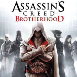 Assassin's Creed Brotherhood EU PC Steam Altergift