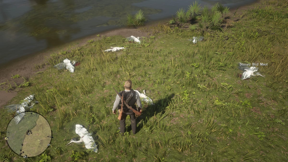 TuniGamers – Aigrette Red Dead Redemption 2 : Où trouver cet oiseau ?