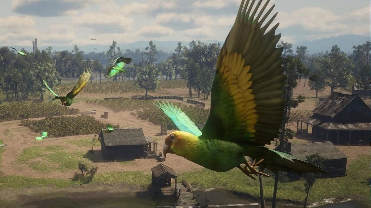 TuniGamers – Conure de Caroline Red Dead Redemption 2 : Où trouver les 25 perruches ?