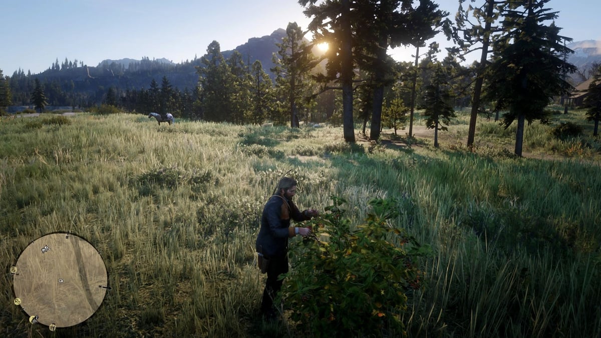 TuniGamers – Fruits rouges Red Dead Redemption 2 : Où en collecter pour réaliser le défi herboriste ?