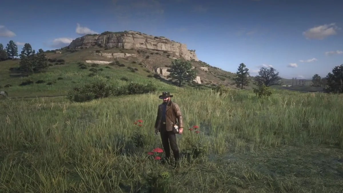 TuniGamers – Millefeuille Red Dead Redemption 2 : Où trouver cette plante pour concocter un tonique puissant ?