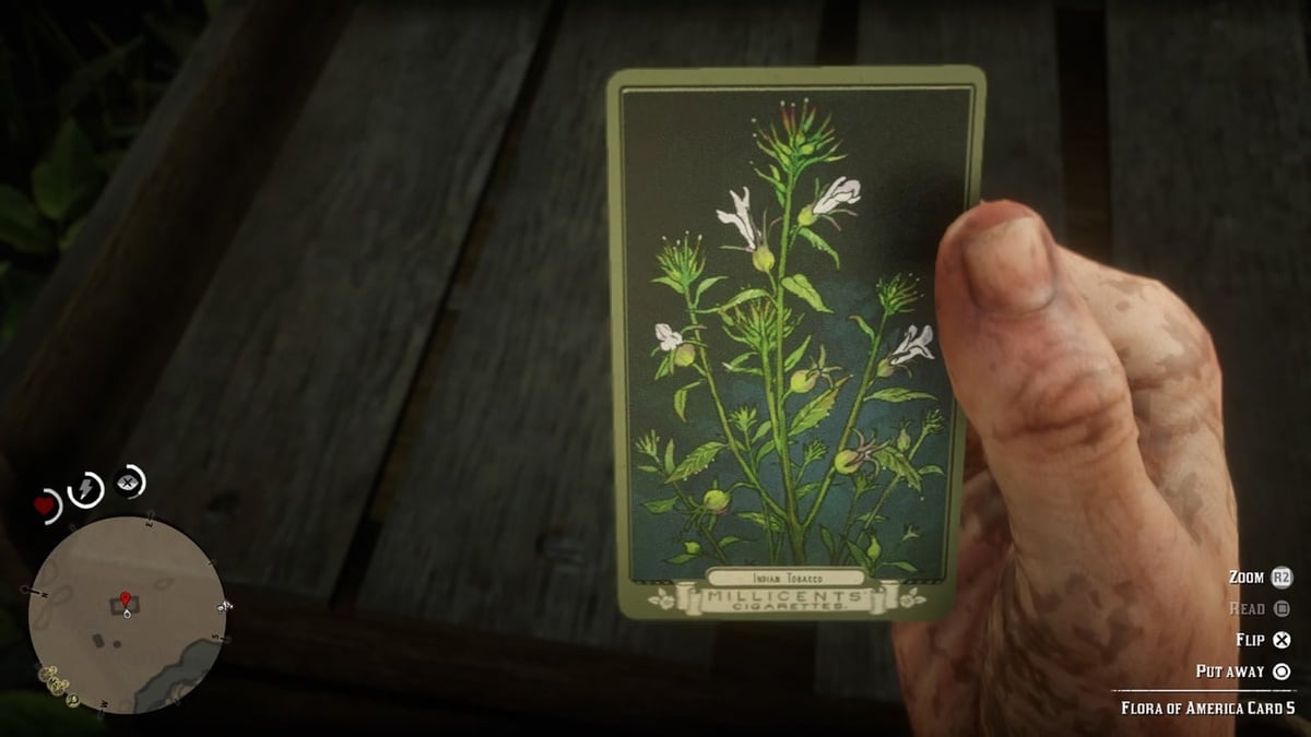 TuniGamers – Tabac indien Red Dead Redemption 2 : Où en trouver pour accomplir le défi ?