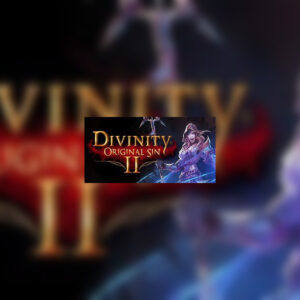 Divinity: Original Sin 2 Eternal Edition GOG CD Key
