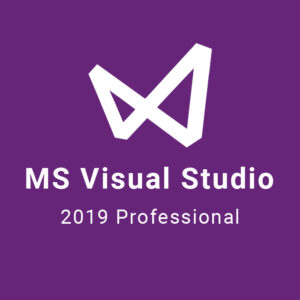 MS Visual Studio 2019 Professional CD Key