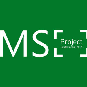MS Project Professional 2016 CD Key