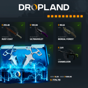 CLASSIFIED VS. SHADOW-DAGGERS Random CS2 Skin Case Dropland.net Key