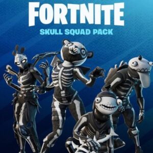 Fortnite - Skull Squad Pack AR XBOX One / Xbox Series X|S CD Key