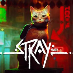 Stray US XBOX One / Xbox Series X|S CD Key