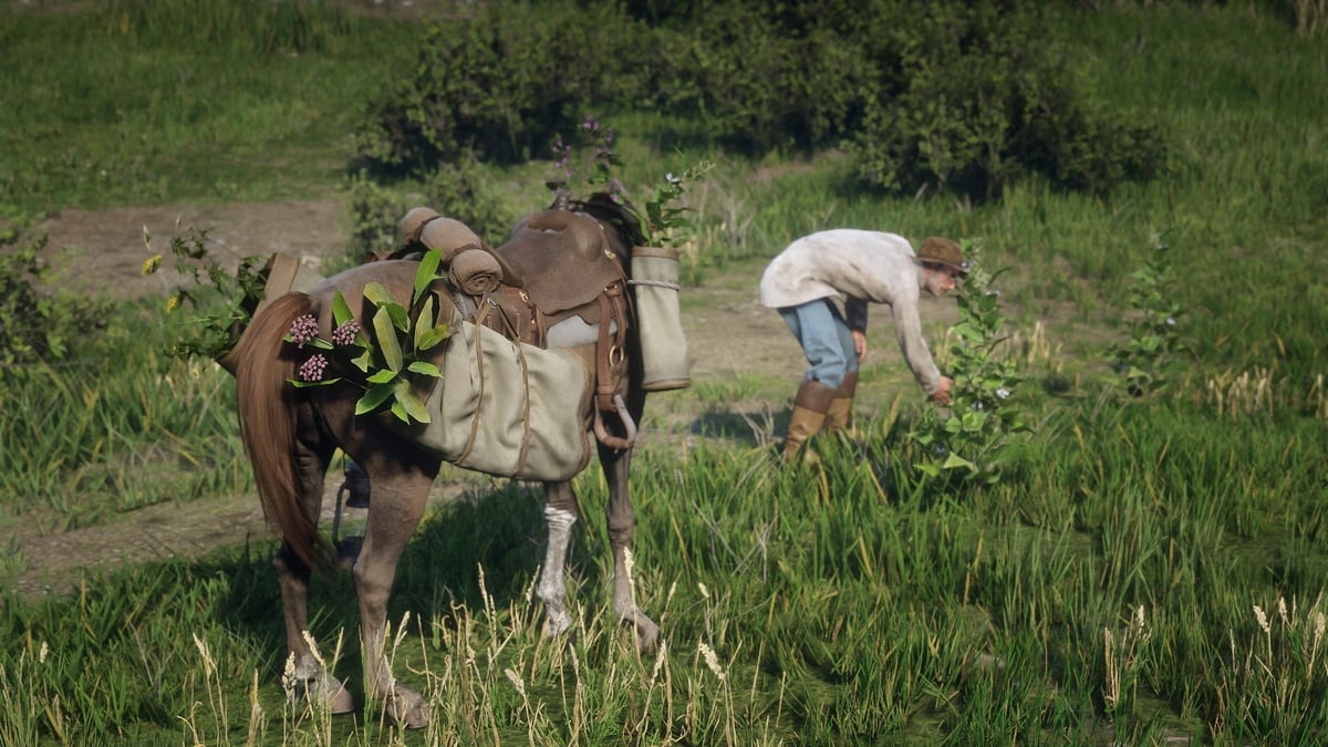 TuniGamers – Achillée visqueuse Red Dead Redemption 2 : Où trouver cette plante ?