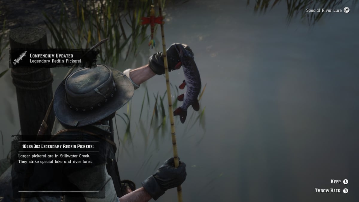 TuniGamers – Brochet d&rsquo;amérique Red Dead Redemption 2 : Où et comment pêcher ce poisson ?