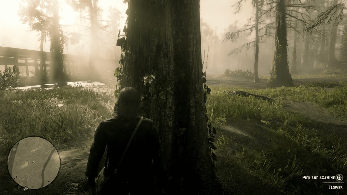 TuniGamers – Dame de la nuit Red Dead Redemption 2 : Où trouver cette fleur ?