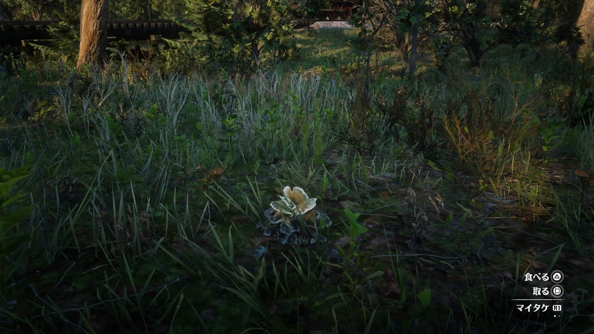 TuniGamers – Poule des bois Red Dead Redemption 2 : Où trouver cette plante ?