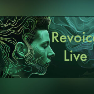 RevoiceLive PC Steam CD Key