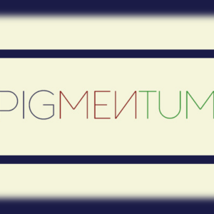 PIGMENTUM Steam CD Key