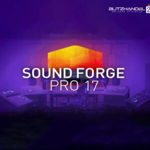 MAGIX Sound Forge Pro 17 Digital Download CD Key