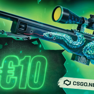 CSGO.NET €10 Gift Card