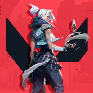 VALORANT $20 USD NA CD Key